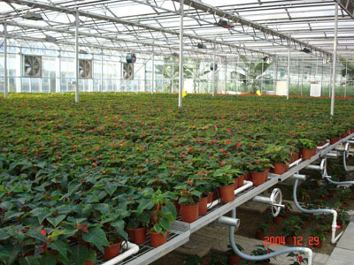 溫室具備哪些育苗設(shè)備，可加快蔬菜產(chǎn)業(yè)現(xiàn)代化進(jìn)程？