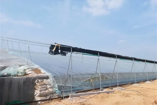 溫室大棚如何覆膜？