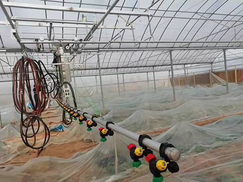 如何防 治溫室育苗的常見(jiàn)病害？